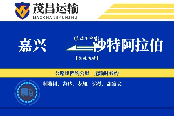 嘉兴到沙特阿拉伯物流专线 | 空运海运双清包税 | 门到门国际物流服务